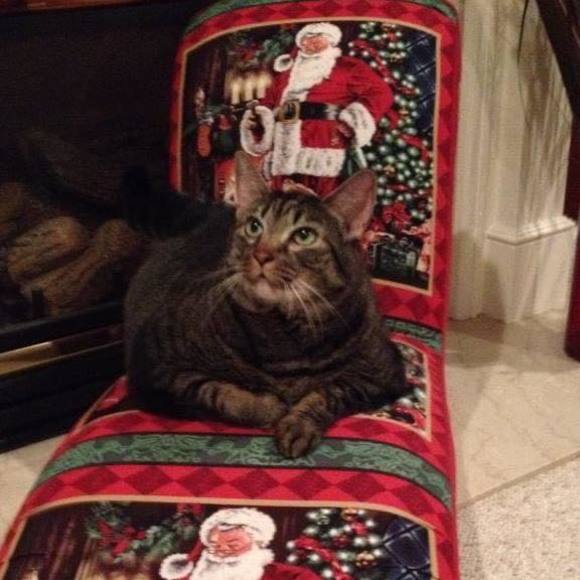 Meet your Posher, Jennifer - Picture 1 of 1